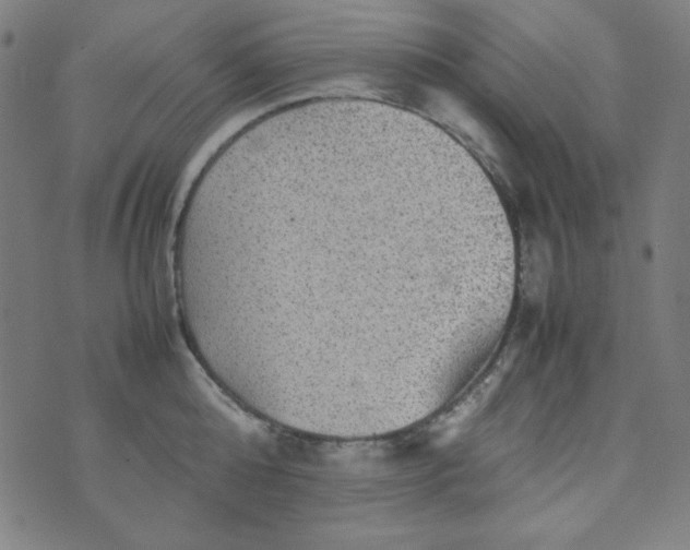 X0000070410808200606231826