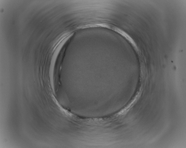 X0000070410809200606231826