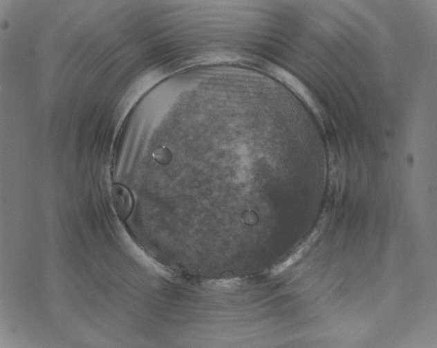 X0000070410810200606231826