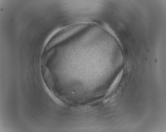 X0000070410811200606231826