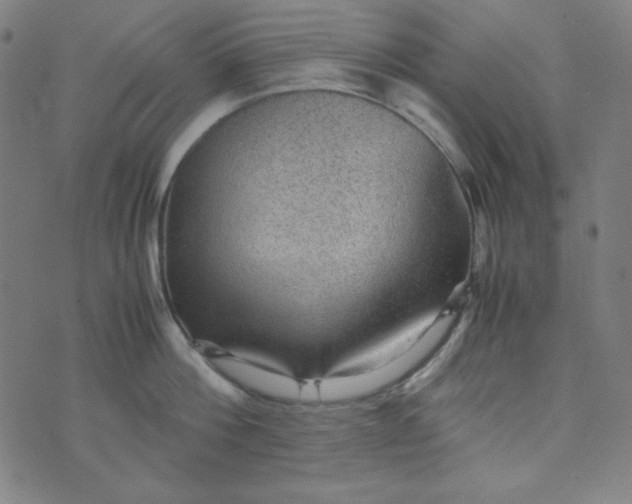 X0000070410812200606231826