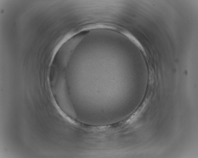 X0000070410813200606231826