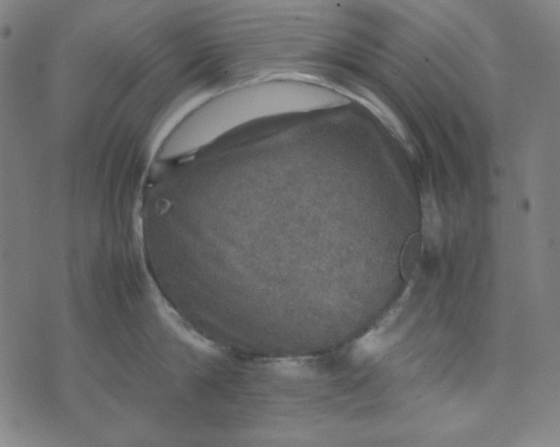 X0000070410814200606231826