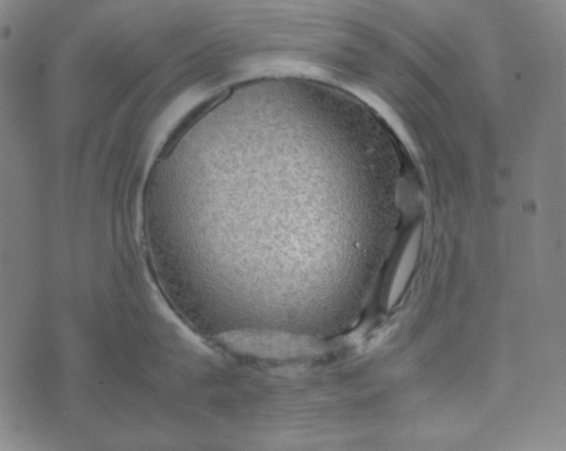 X0000070410815200606231826