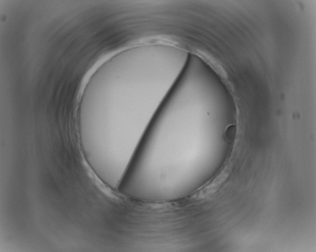 X0000070410816200606231826