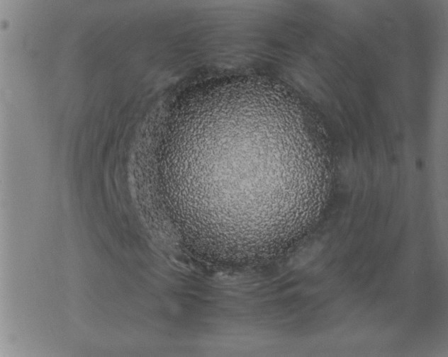 X0000070410817200606231826