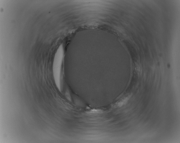 X0000070410818200606231826