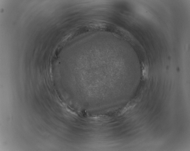 X0000070410819200606231826