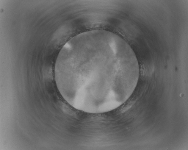 X0000070410820200606231826