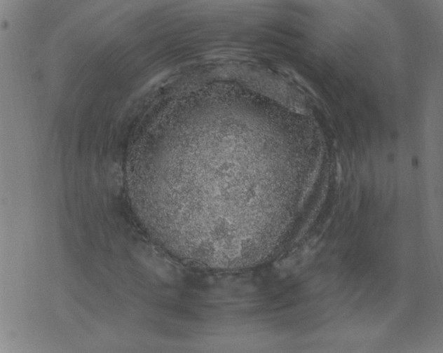 X0000070410821200606231826