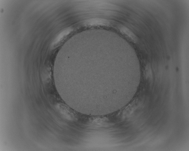 X0000070410824200606231826