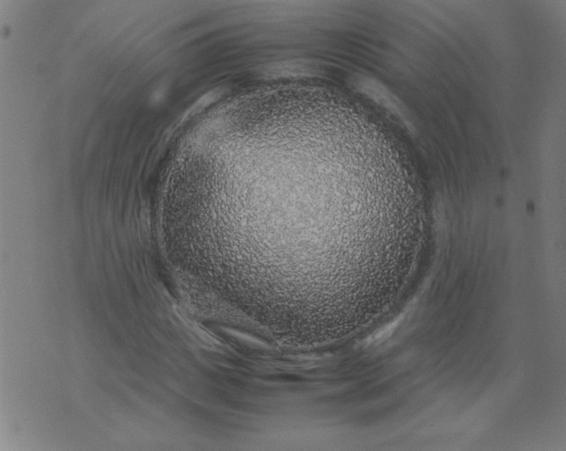 X0000070410825200606231826