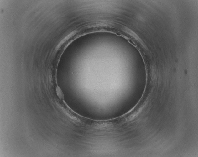 X0000070410826200606231826