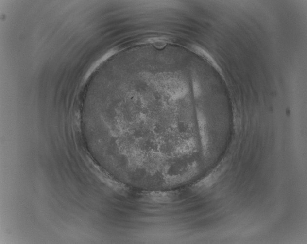 X0000070410827200606231826