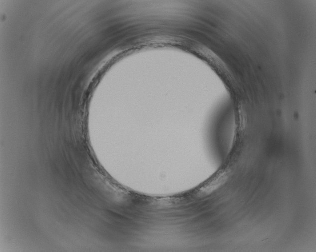 X0000070410828200606231826