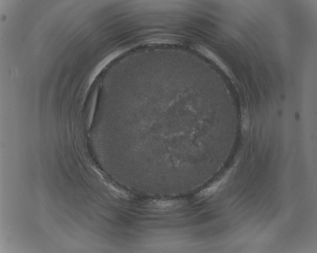 X0000070410829200606231826