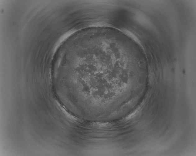 X0000070410831200606231826