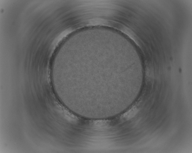 X0000070410832200606231826