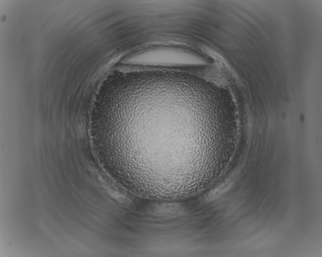 X0000070410833200606231826