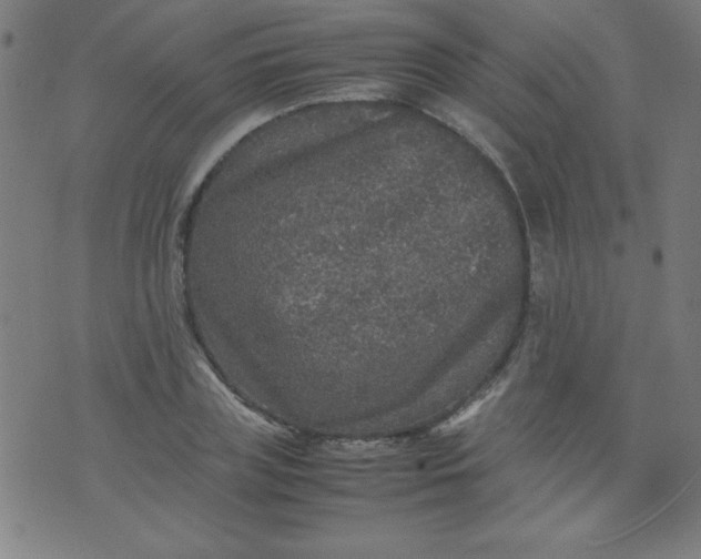 X0000070410835200606231826