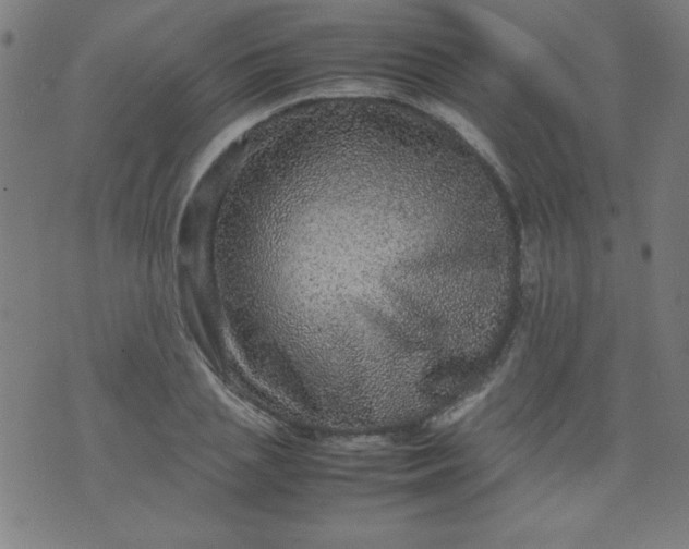 X0000070410837200606231826