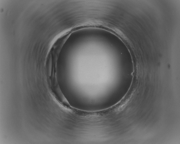 X0000070410838200606231826