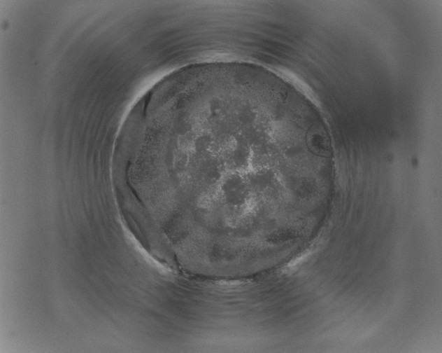 X0000070410839200606231826