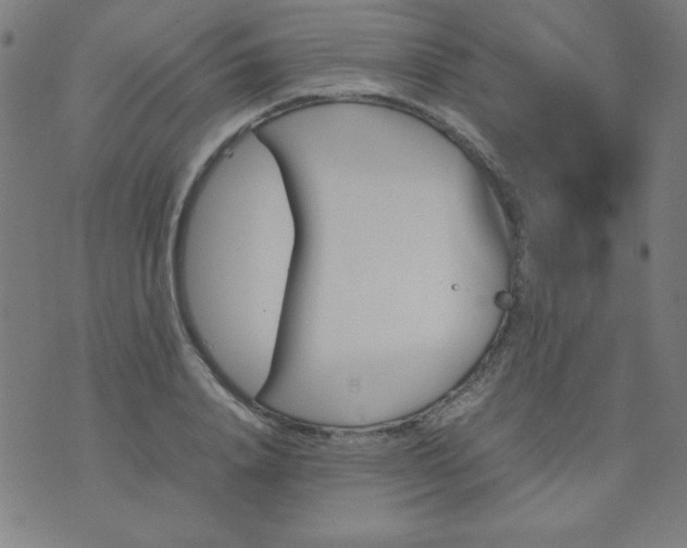 X0000070410840200606231826