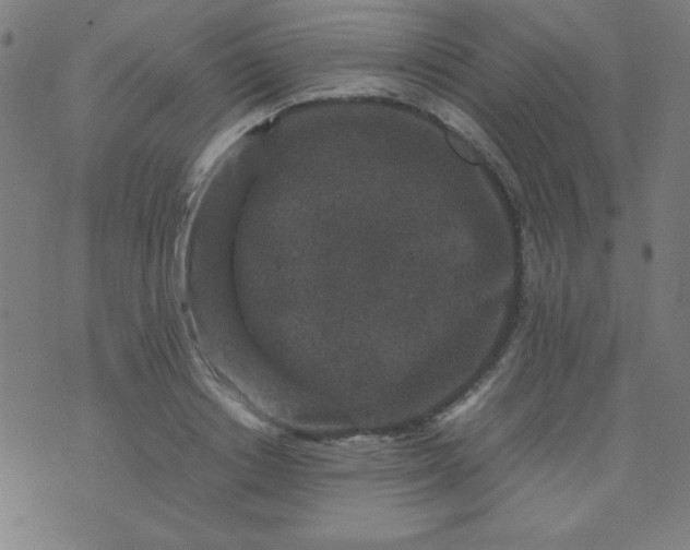 X0000070410842200606231826