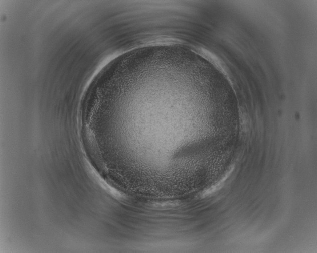 X0000070410843200606231826