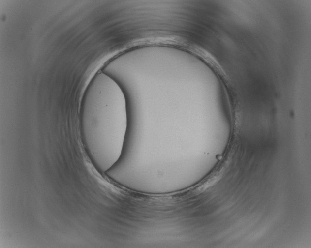 X0000070410844200606231826