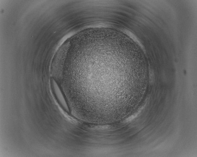 X0000070410845200606231826