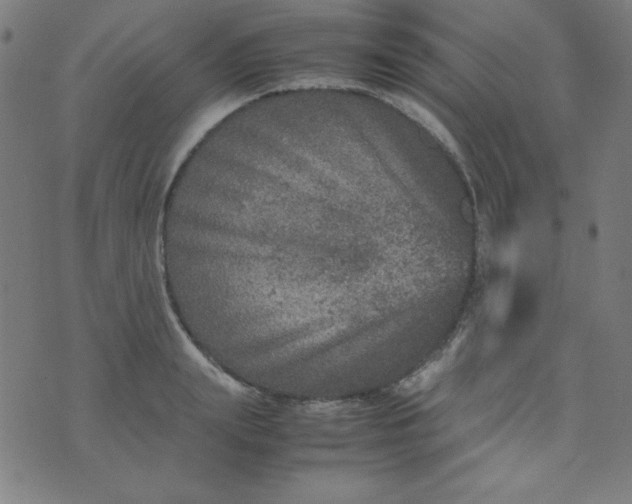 X0000070410847200606231826