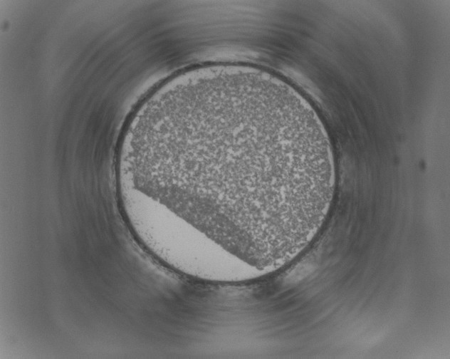 X0000070410848200606231826