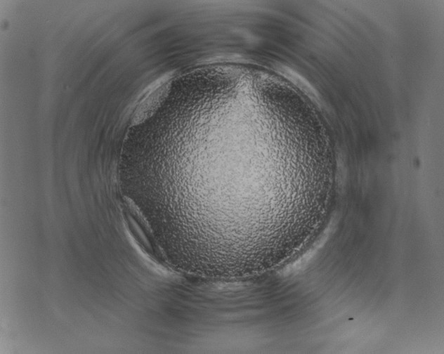 X0000070410849200606231826