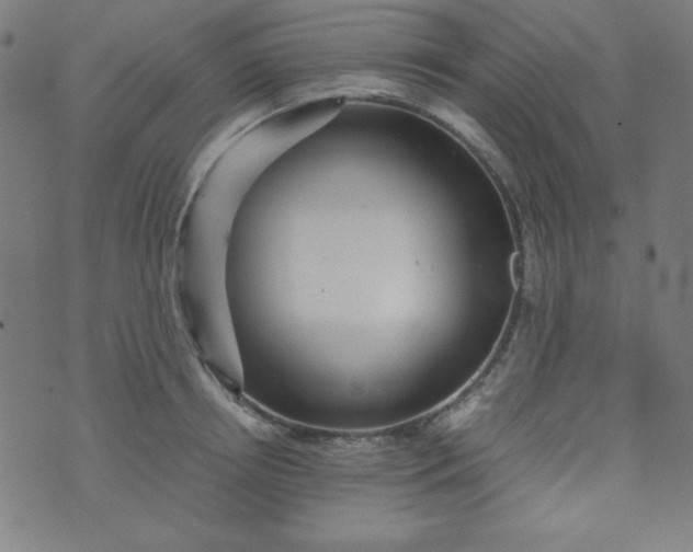 X0000070410850200606231826