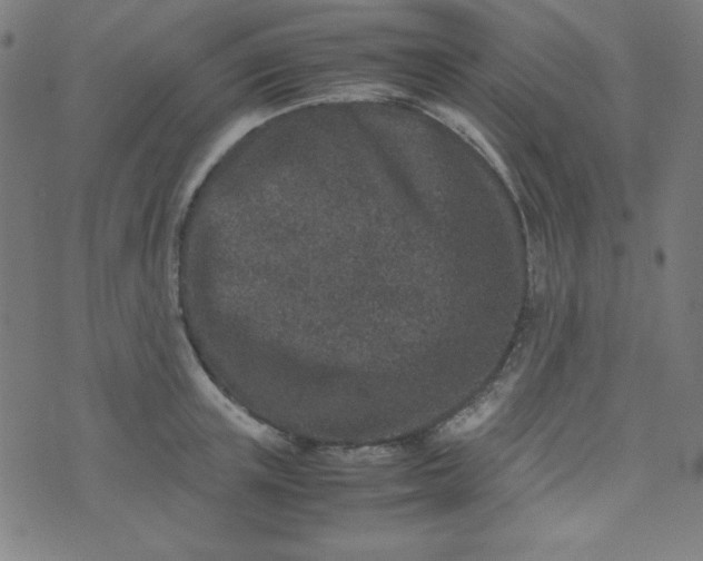 X0000070410851200606231826