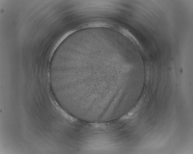 X0000070410852200606231826