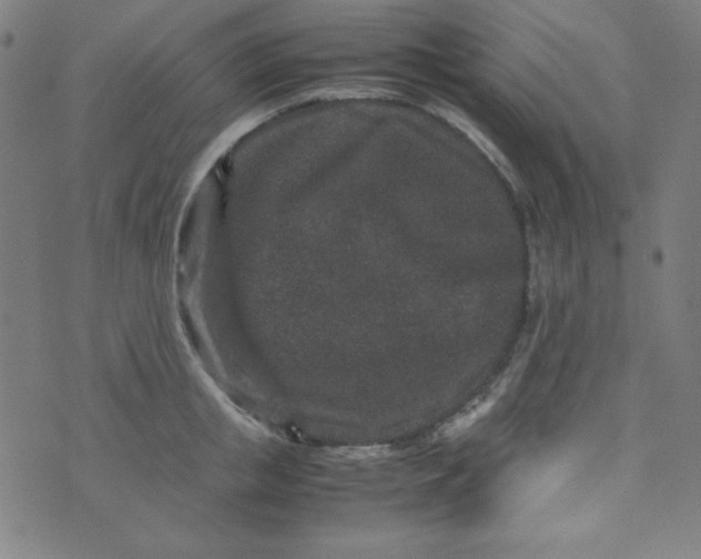 X0000070410853200606231826