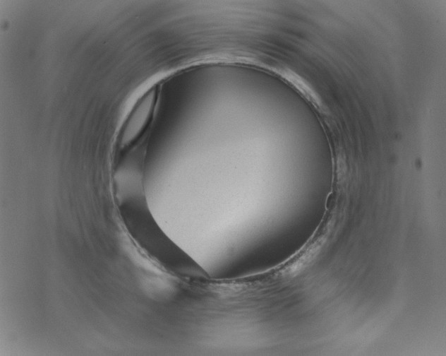 X0000070410854200606231826