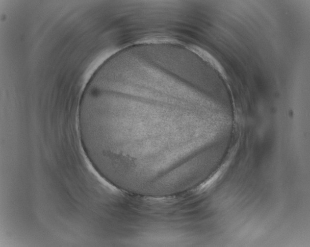 X0000070410855200606231826