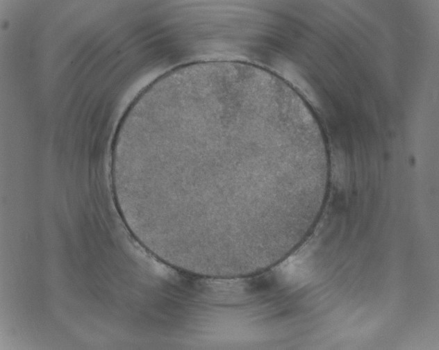 X0000070410856200606231826