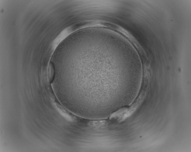 X0000070410858200606231826