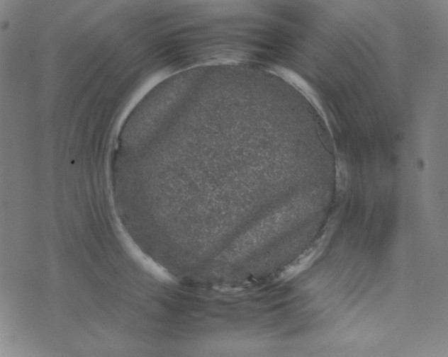 X0000070410859200606231826