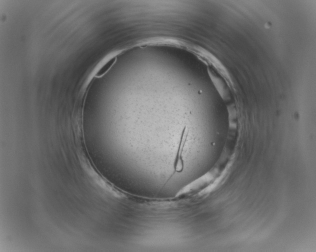 X0000070410860200606231826