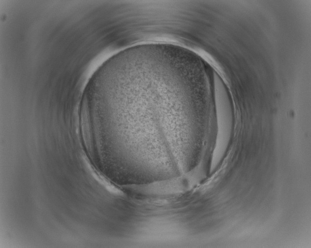 X0000070410862200606231826