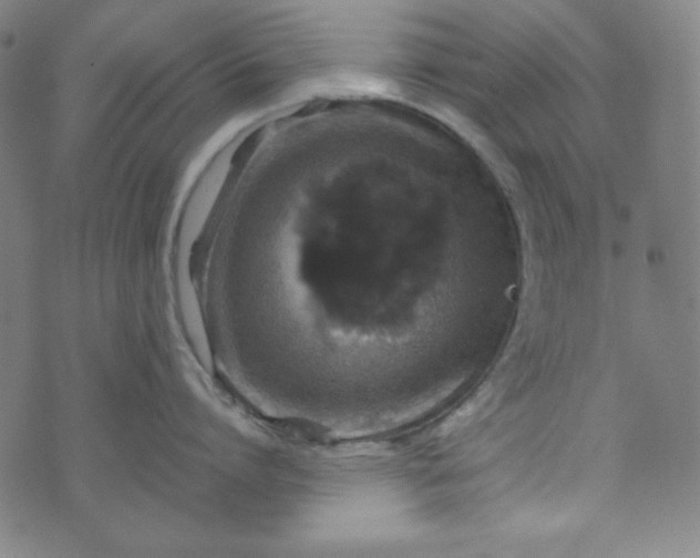 X0000070410864200606231826