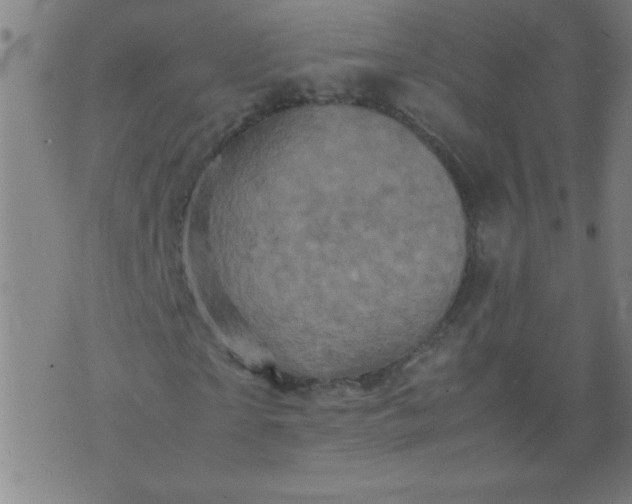 X0000070410865200606231826