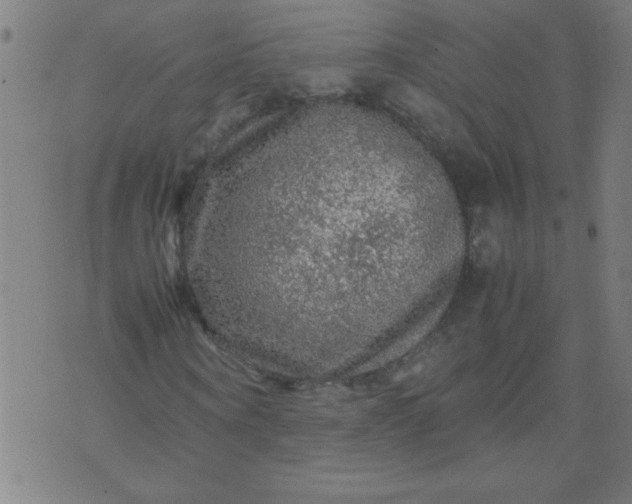 X0000070410866200606231826