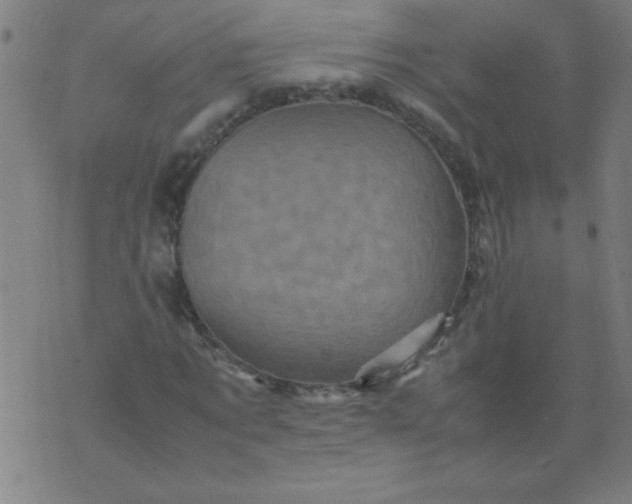 X0000070410869200606231825